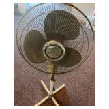 Fan