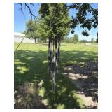 Oversized Wind chime