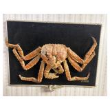King Crab
