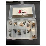 35 Sharks Teeth one broken arrowhead