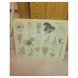 Tempered glass cutting board