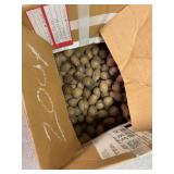 Walnuts