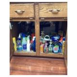 Contents cupboard under kitchen sink bring box