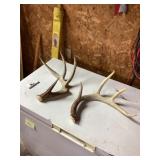 Antlers