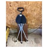 Walking stick stool