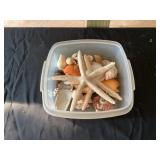 Seashells and assorted items