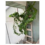 Wood ladder 7 ft