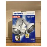 Flood light - new