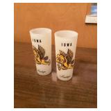 Vintage Iowa Hawkeye glasses