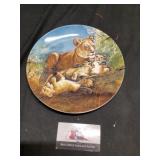 Collector plate