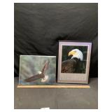 Bald eagle pictures
