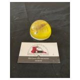 Scorpion paper weight