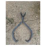 Ice tongs