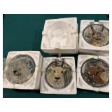 Faces of the wild plates