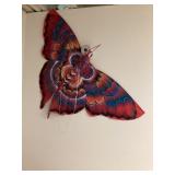 Cloth butterfly kite