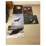 Bald eagle posters