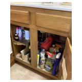 Contents under sink bring a box
