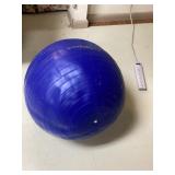 Golds gym stayball