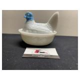 Hen on a nest