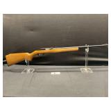 Glenfield Model 60    22LR