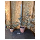 Artificial trees