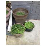 Planters