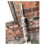 Regina electric broom