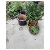Flower pots