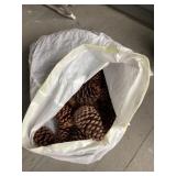 Bag of pinecones