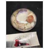 Vintage paper with seashells in clear glass