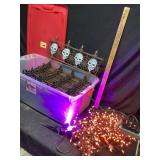 Tote of Halloween decor