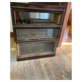 Lawyers book case