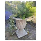 Concrete pot