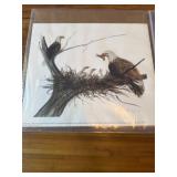 P Buckley Moss print