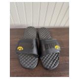 Iowa Hawkeye slides