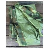 Tarp