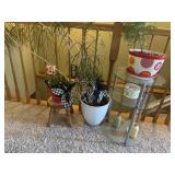 Live plants and stands