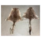 Two Kangaroo Pelts