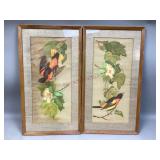 Unique Framed Bird Paintings By Jack Demler