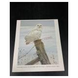 Ready for the Hunt Print by Robert Bateman 1982