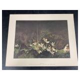 May Day Print by Andrew Wyeth