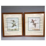 Two Ducks Unlimited prints