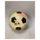 Storm "Soccer Ball" Bowling Ball
