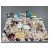 Assorted Seashells, Coral, and More