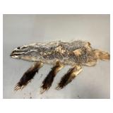 Badger Hide and Paws