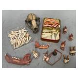Assorted Teeth, Jaws, Skull and More