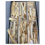 Assorted Box of Bones