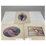 Three Signed & Framed Bird Pictures