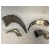Assorted Animal Horns