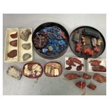 Assorted Fossils and More